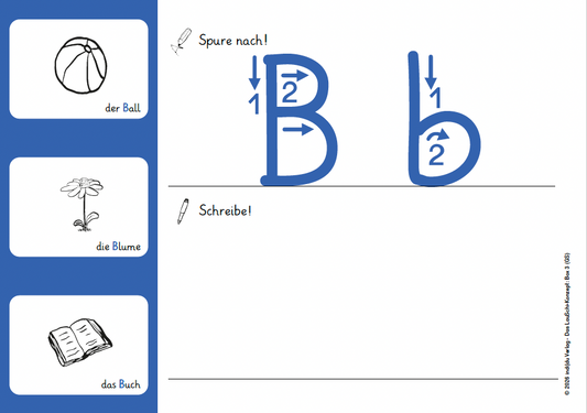 Individueller Schriftspracherwerb mit dem LauSchi-Konzept 3: Basisgrapheme (u.a. Konsonanten, Mehrgrapheme) (Grundschrift)